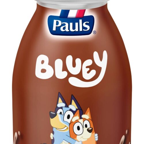 Pauls Bluey Milk, Chocolate (250mL)