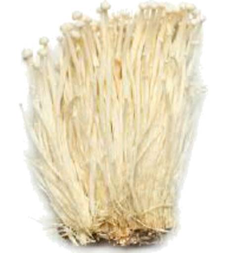 Fresh Enoki