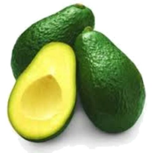 Avocado Sheppard