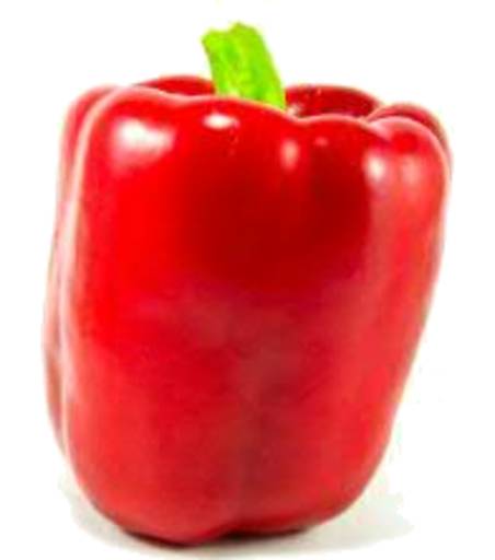 Capsicum Red  Approx. 220g Each