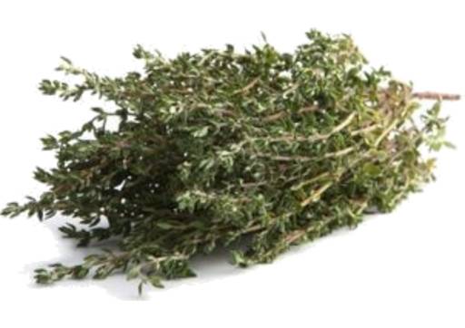 Lemon Thyme