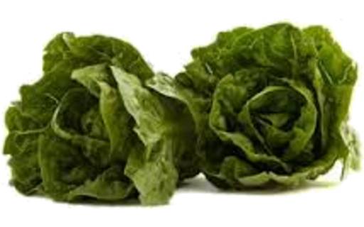 Baby Cos Lettuce Twin Pack