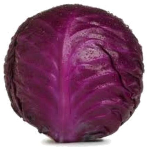 Cabbage Red