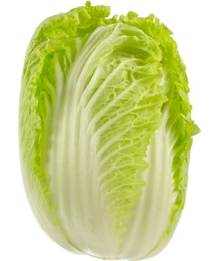 Cabbage Chinese