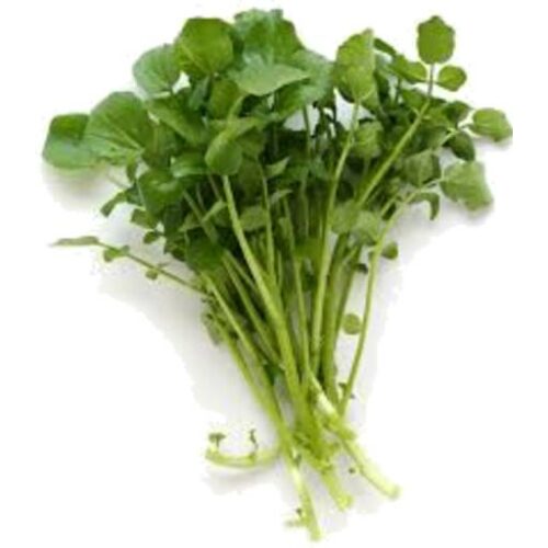 Fresh Watercress