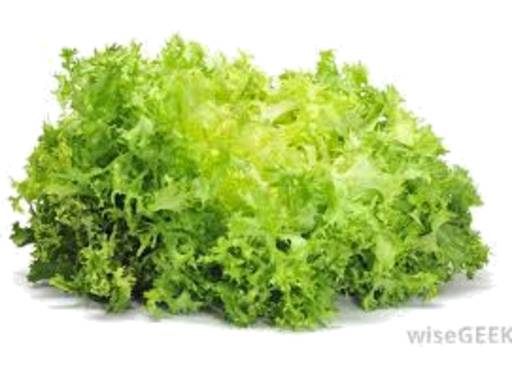 Endive Baby