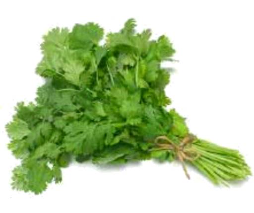 Coriander Bunch PrePack