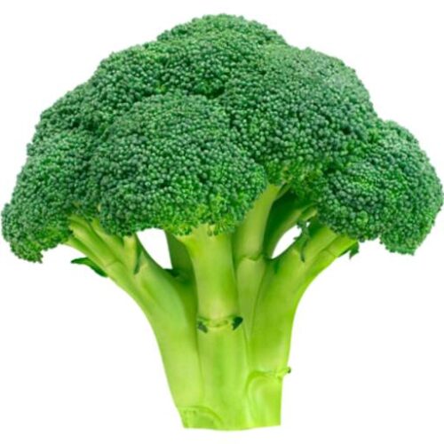 Broccoli  Approx. 360g Each